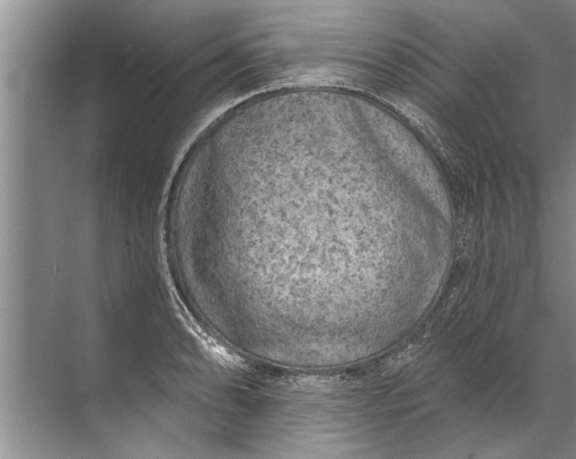 X0000071801086200607150140