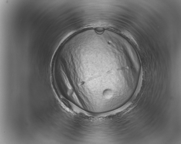 X0000071801087200607150140