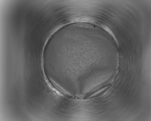 X0000071801088200607150140