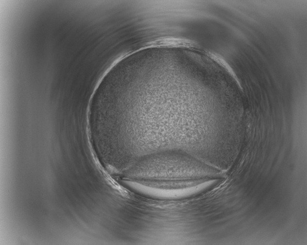 X0000071801091200607150140