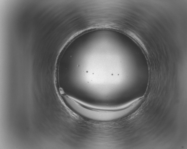 X0000071801093200607150140