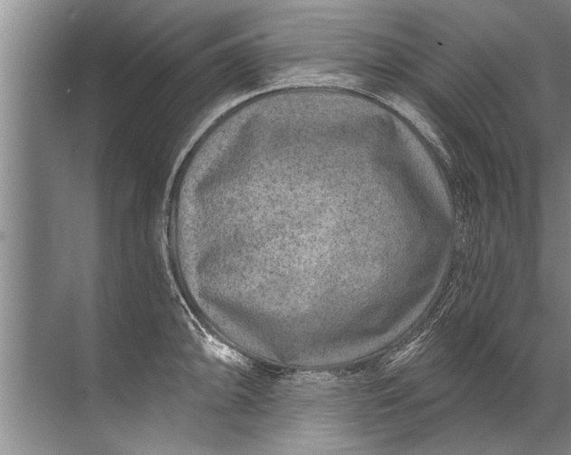 X0000071801094200607150140