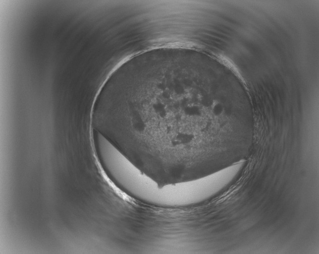 X0000071801095200607150140