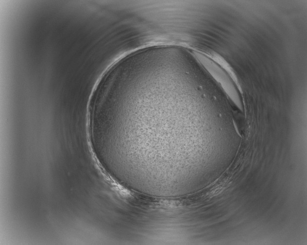 X0000071801096200607150140