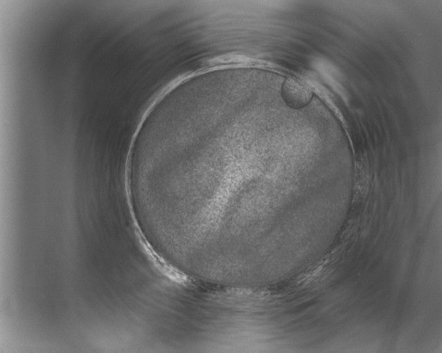 X0000071801098200607150140