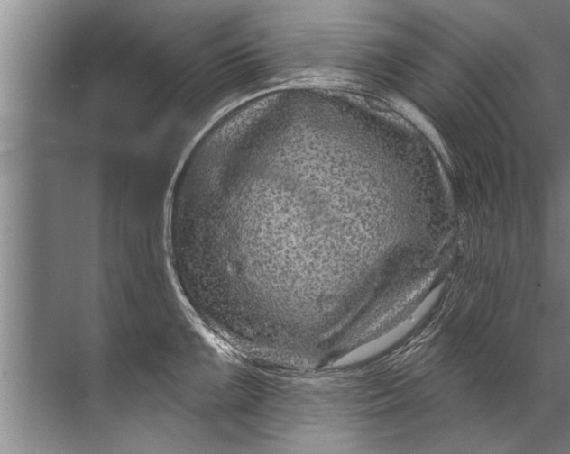 X0000071801099200607150140