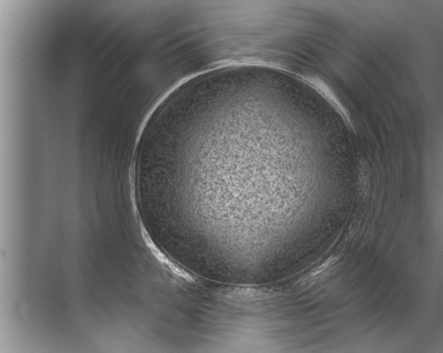 X0000071801100200607150140