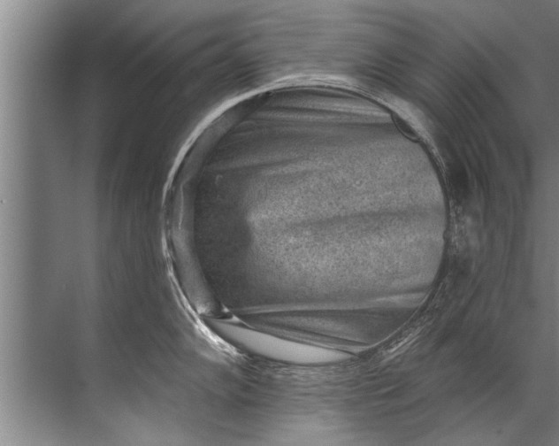 X0000071801102200607150140