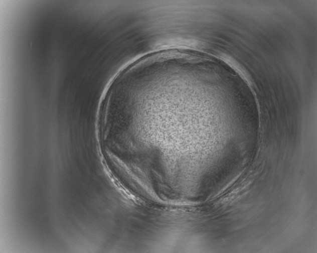 X0000071801104200607150140