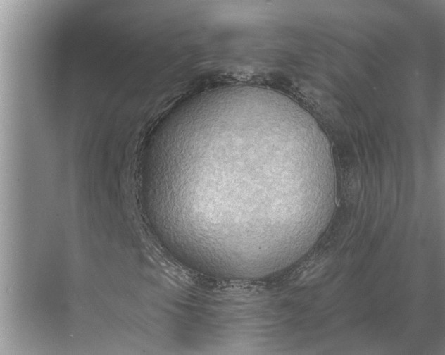 X0000071801105200607150139