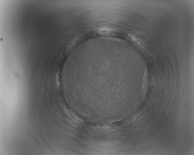 X0000071801106200607150139