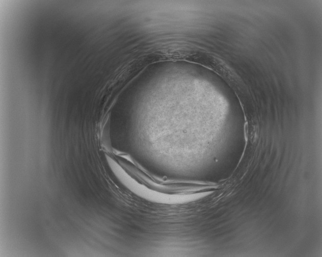 X0000071801108200607150139