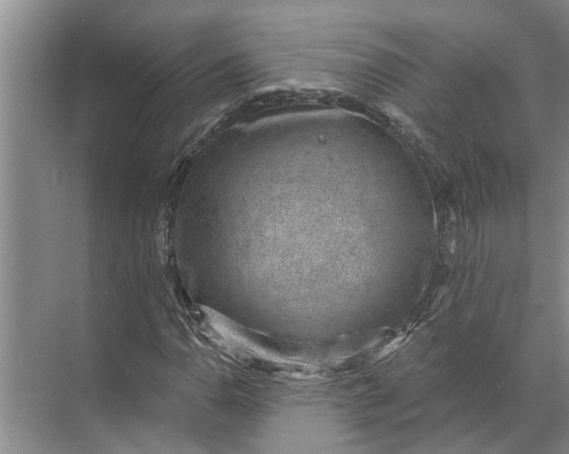 X0000071801110200607150139