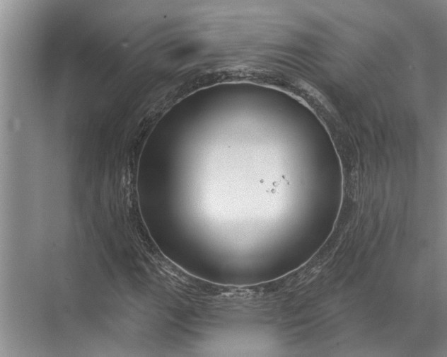 X0000071801111200607150139