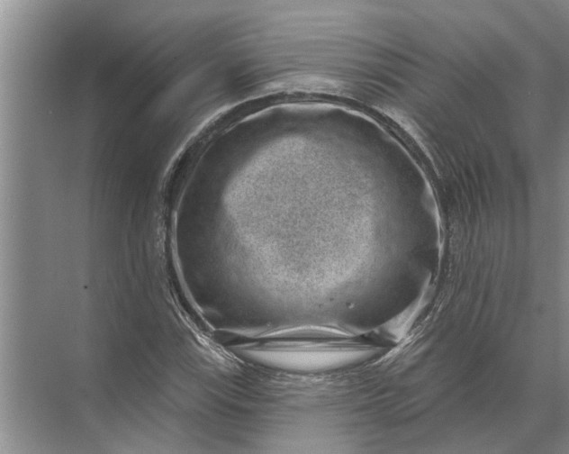 X0000071801115200607150139