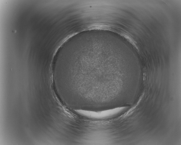 X0000071801117200607150139