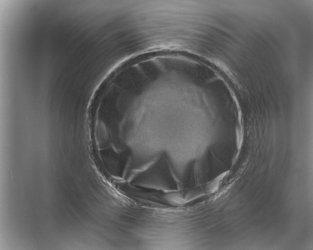 X0000071801118200607150139