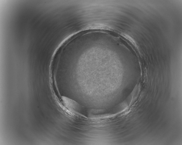 X0000071801120200607150139