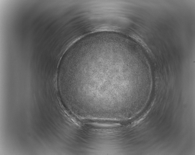 X0000071801121200607150139