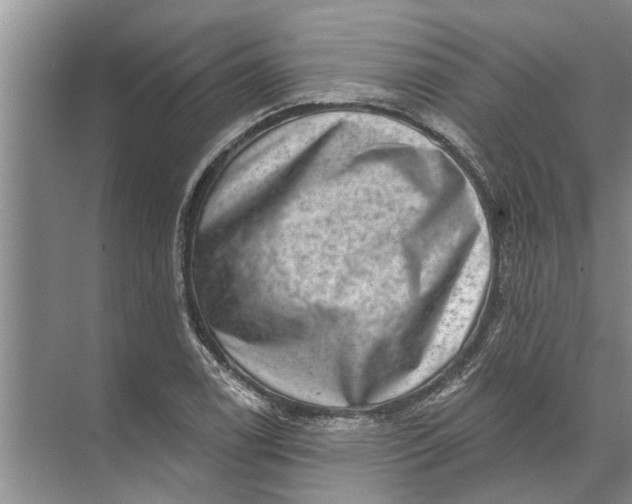 X0000071801122200607150139