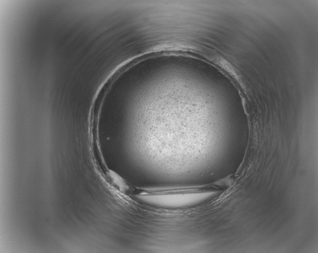 X0000071801124200607150139