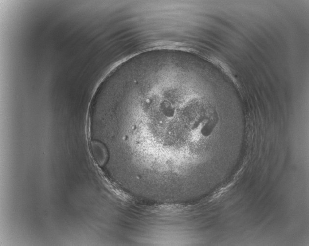 X0000071801125200607150140