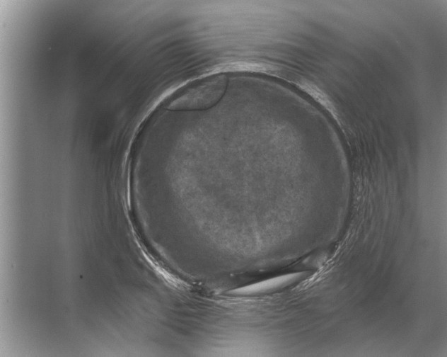 X0000071801127200607150140