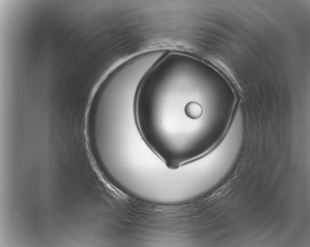 X0000071801128200607150140