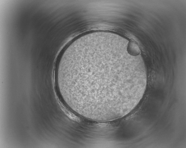 X0000071801130200607150140