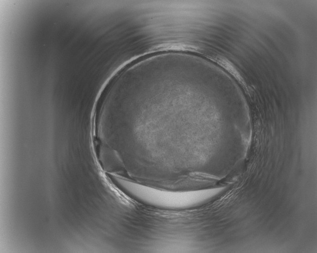 X0000071801132200607150140