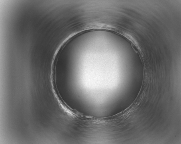 X0000071801136200607150140