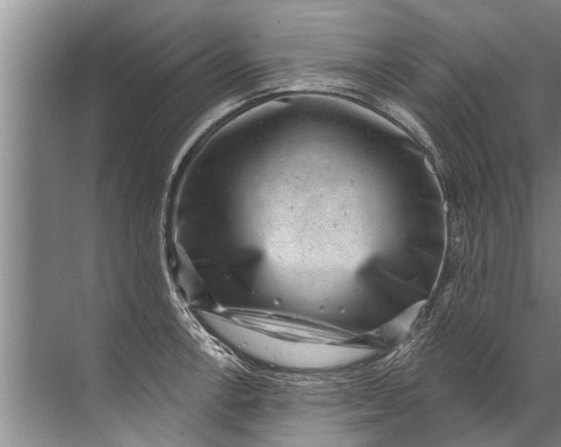 X0000071801138200607150140