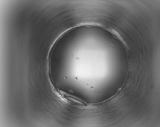 X0000071801140200607150140