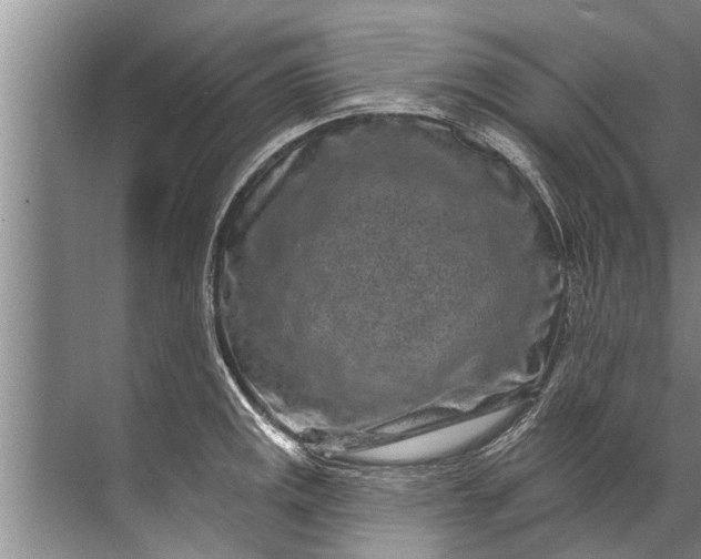 X0000071801141200607150140