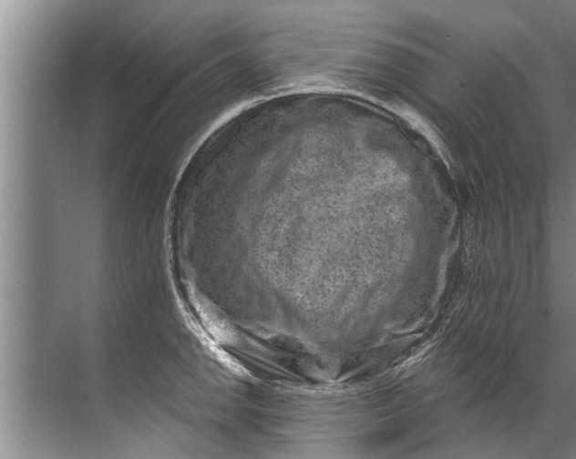 X0000071801142200607150140