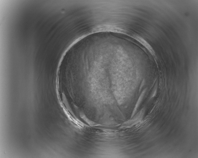 X0000071801144200607150140