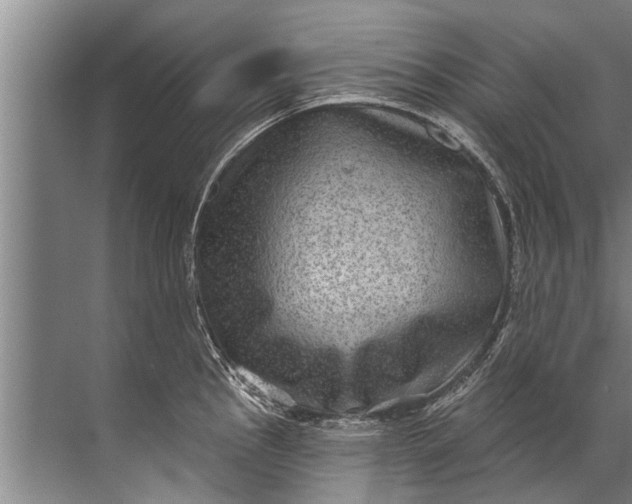 X0000071801145200607150140