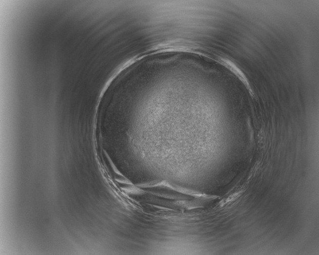 X0000071801146200607150140