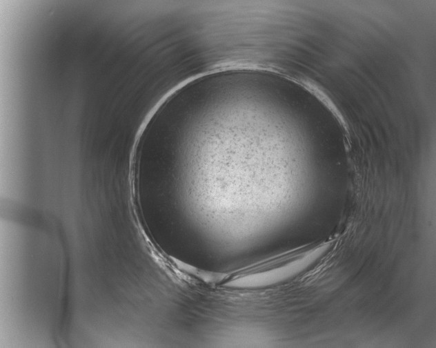 X0000071801148200607150140