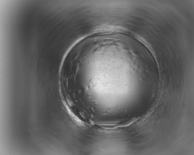 X0000071801152200607150140