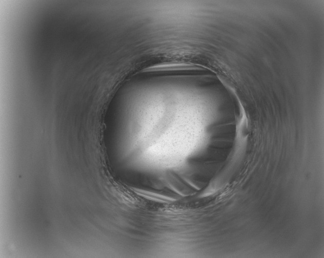 X0000071801153200607150139