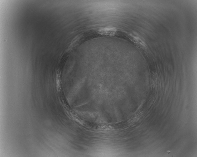 X0000071801154200607150139