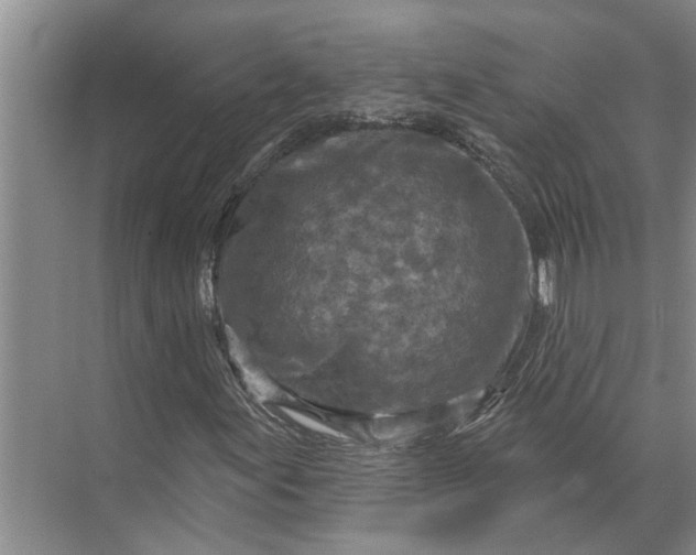 X0000071801155200607150139