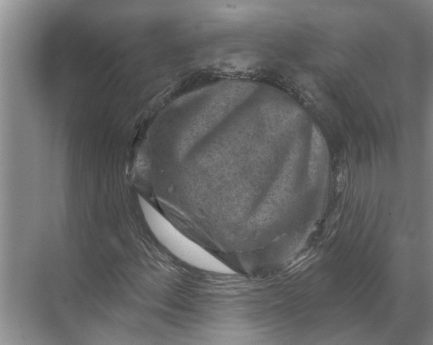 X0000071801156200607150139