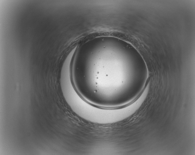 X0000071801157200607150139