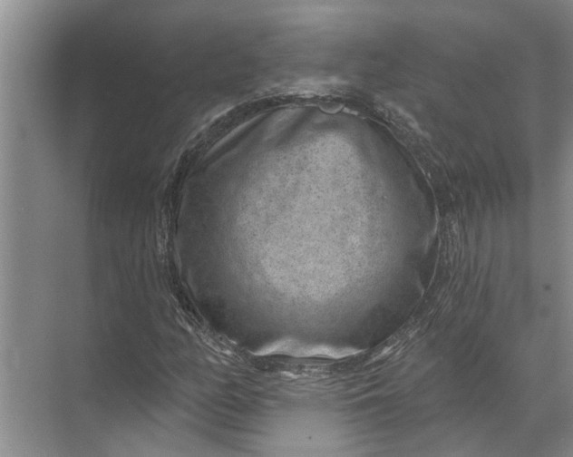 X0000071801158200607150139