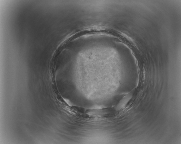 X0000071801160200607150139