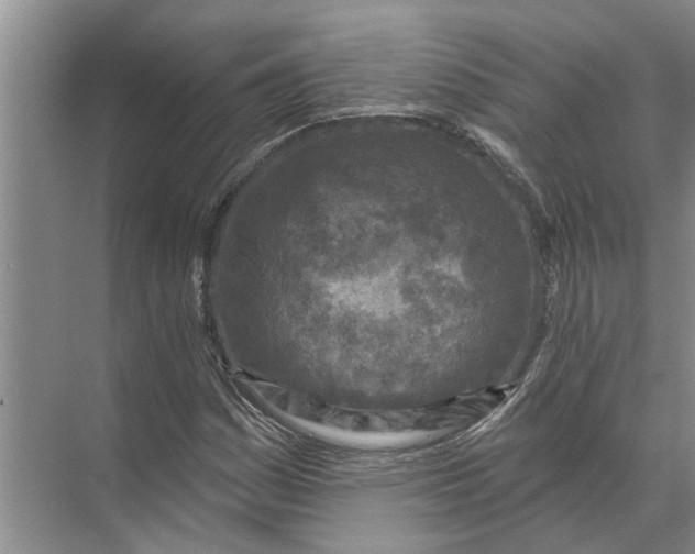 X0000071801161200607150139