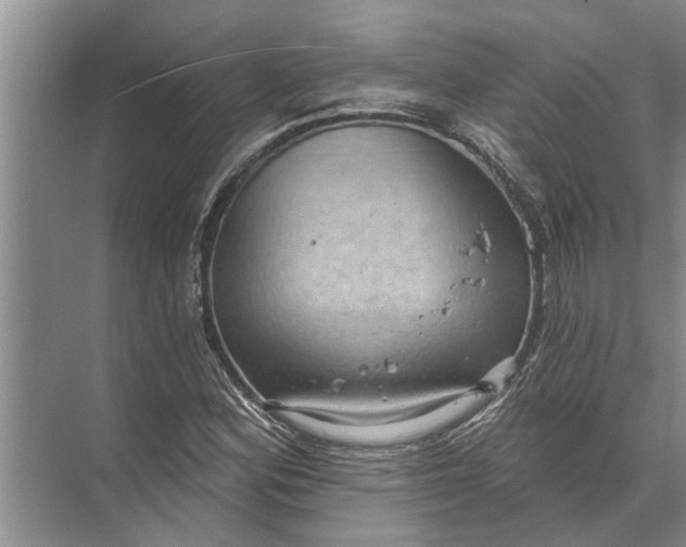 X0000071801164200607150139