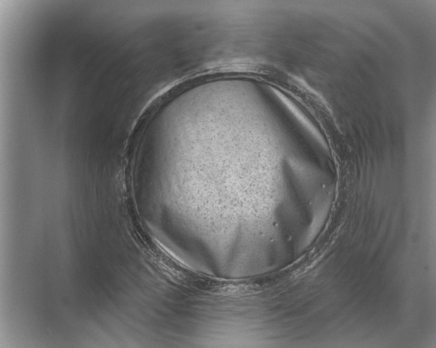 X0000071801166200607150139